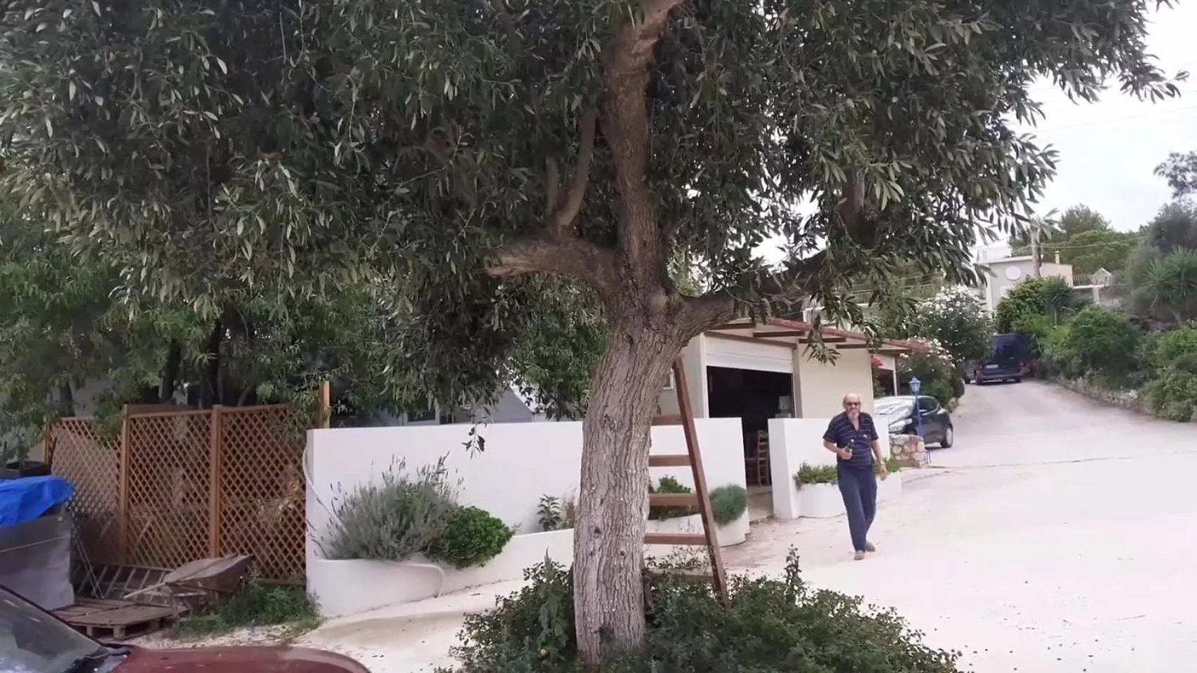 Tzogias Apartments Nonna Studio Lassi  0*, Lassi (Kefalonia) Řecko